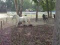101_3358.MOV