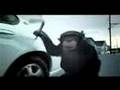 Trunk Monkey Heresy Upgrade #1