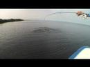 Isla del Sabalo - A New Frontier in Yucatan Tarpon Isla del Sabalo - A New Frontier in Yucatan Tarpon
