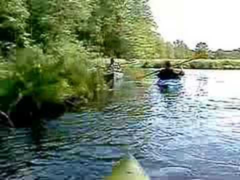 Aint Life A Brook - kayaking at The Fen with Ferron