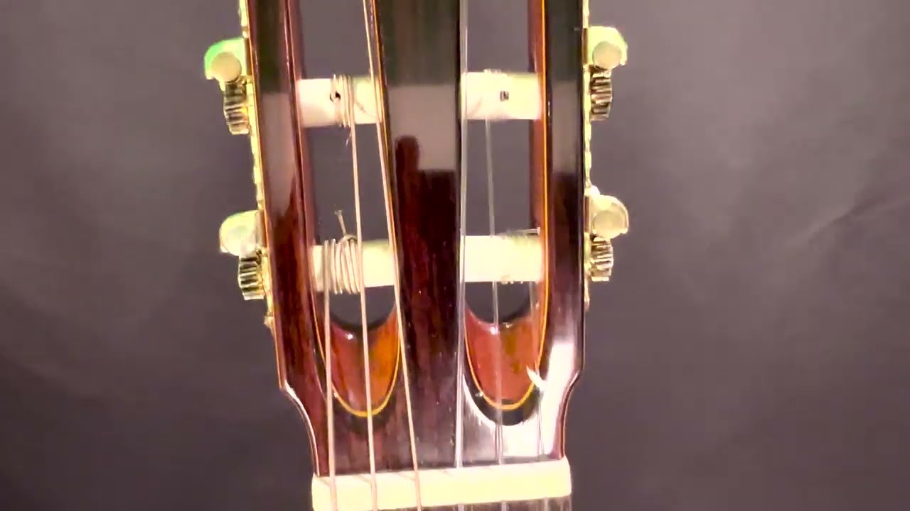 Takamine C-132S