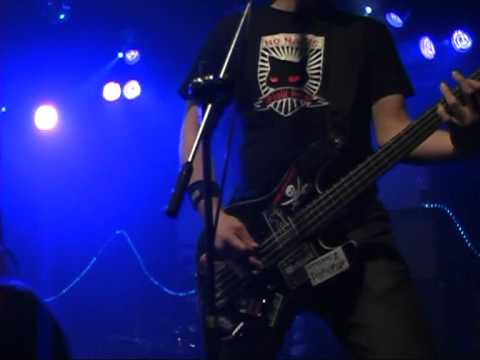 Youtube Video VgiS0uVB5Uk