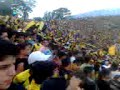 vamos vamo aurinegro   avalancha sur
