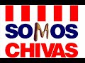 Contestacion a Molotov - Soy Chiva Rayada