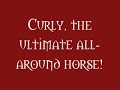 Har Mar Quarter Horses Presents: Curlys Black Gold Har Mar Quarter Horses Presents: Curlys Black Gold