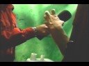 la fin du monde est a 7 heures  7 nov.1999 (Quebec cannabis cup)