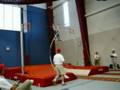 Zee Pole Vault