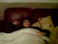 Cat & Bev 08.3gp