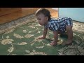 Click here to watch this video Riley cuteness 5-23-12