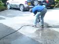 Smelly Dog Smelly Dog