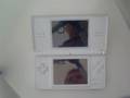 Datel Action Replay DS