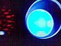 25112008.mp4