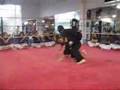 The Future Of MMA (Original)