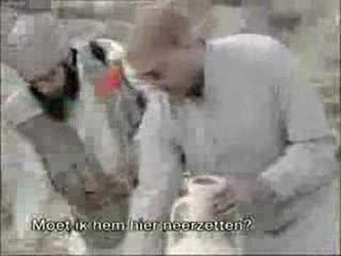firework accident