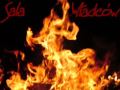 Predator Kings.wmv