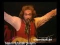 jethro-tullsongs-from-the-woodt-rke-altyaz-.html