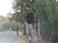 videos de michronic