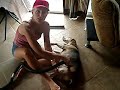 Tick & Flea Removal