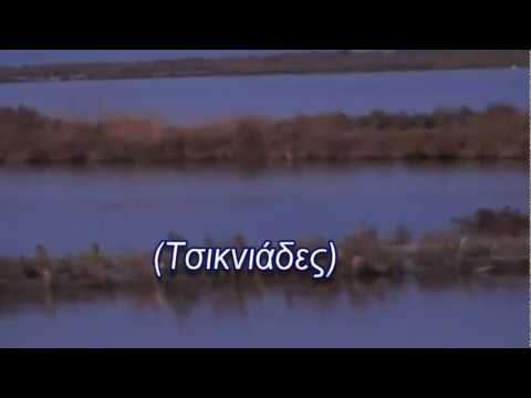 ΑΛΥΚΕΣ - Περιοχή Νατούρα (GR 2230003). Δείτε Τσικνιάδες, την εποχή της επώασης να παρατούν τις φωλιές με τα αυγά και να πετούν πάνω από 2 χλμ μακρυά,...