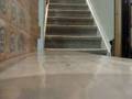 Stair Flyball