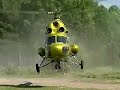 1st lesson in flying? 1st lesson in flying?