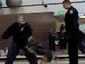 police dog part 2 police dog part 2
