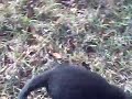 Video 35