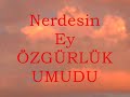 toprağa düşen filizler adına