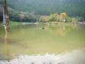 videos de Ming Chih Sax Playing