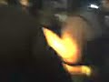 Two Fattys Dancing