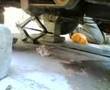 3-kW-brushless-DC-Mo