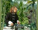 my-vid-drunken-monkey-dance-song-remix.html