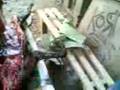 videos de Tagum Dog Squad part 2