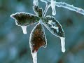 L'hiver