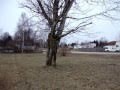 Sold! 2718 Kaywood North Branch only $64900