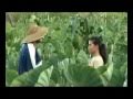 THIS IS ALL I EVER WANT,PELEHAKE YOUTH..mp4