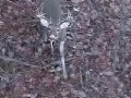 Ten Point Bowkill Ten Point Bowkill