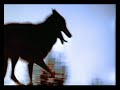 Lone Wolf McQuade - Intro (Opening Theme)