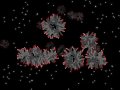 A Protocell Forming from Fatty Acids