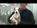 Click here to watch this video Pets Need Your Love