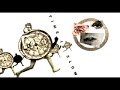 Teke Me Out - Franz Ferdinand Teke Me Out - Franz Ferdinand