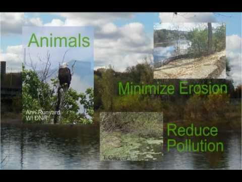 how to avoid water pollution