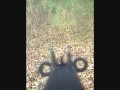 JLS FN2000 Gun Cam