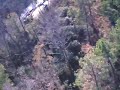 R/C Plane w/Vid Cam fies through apartment fire. R/C Plane w/Vid Cam fies through apartment fire.
