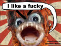 I Like Bukkake