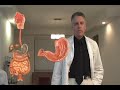 The Gastrointestinal System The Gastrointestinal System