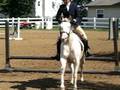 videos de Max jumping.avi