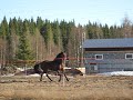 Tämmöisen näin, se piti hauskaa, kun oli niin lämmin päivä. :)