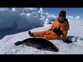 IFAW Seal Hunt 2008 - Research Scientist Sheryl Fink
