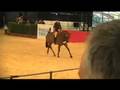 Equitana_2008_1.mov